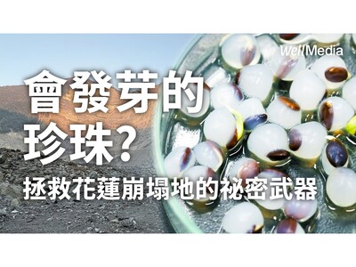 會發芽的珍珠!宜蘭大學研發「種子造粒」技術 無人機空投助山林復育圖片